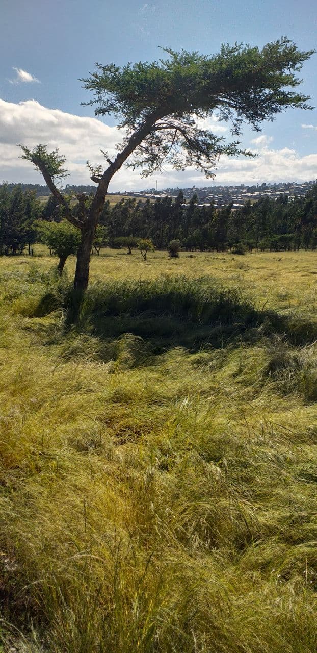 በጌምድር መምህራን ትምህርት ኮሌጅ ከመማር መስተማሩ ጎን ለጎን በግብርናው ዘርፍ እንቅስቃሴ በማድረግ ላይ 